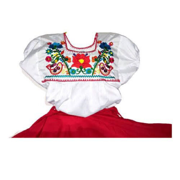 Blusa bordada