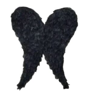 Alas negras de plumas