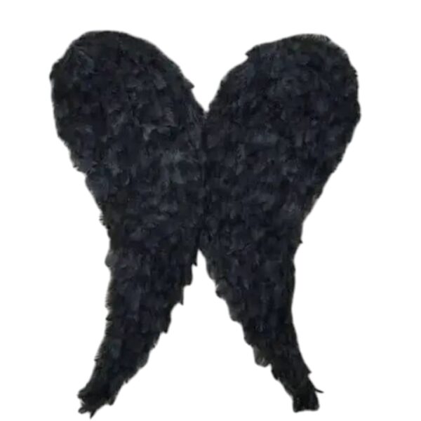 Alas negras de plumas